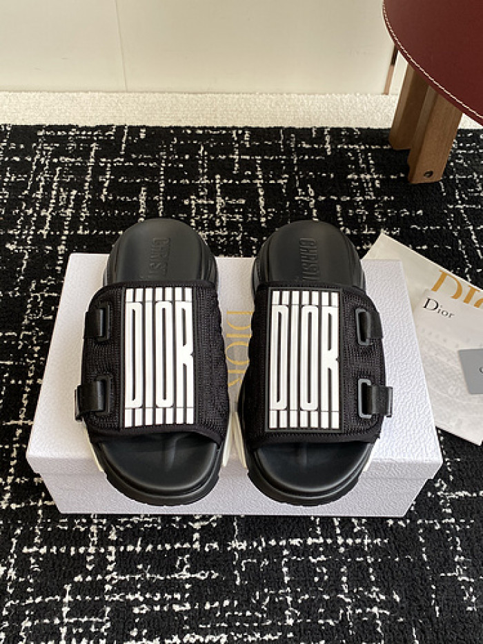 D10r slides ds-068