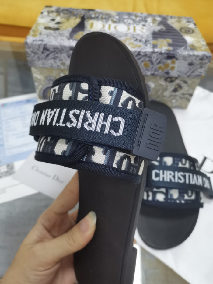 D10r slides ds-031