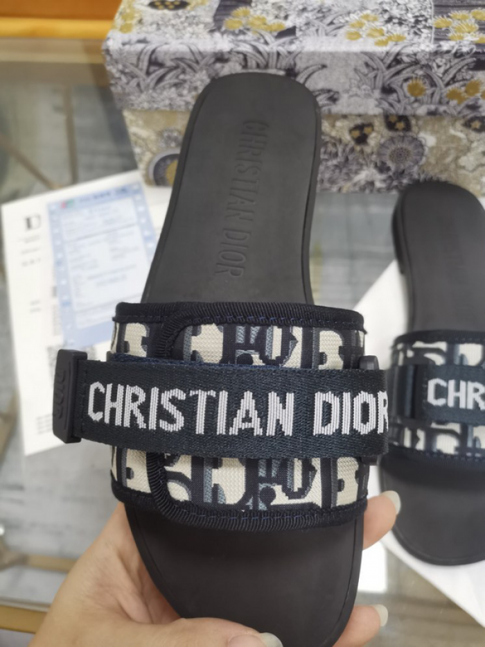 D10r slides ds-031