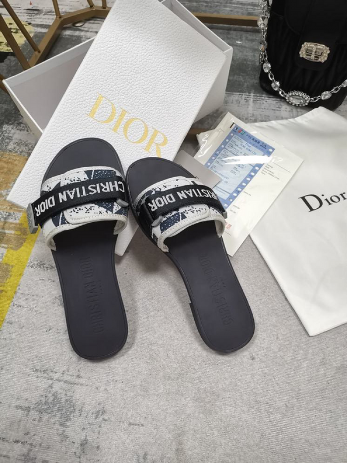 D10r slides ds-029