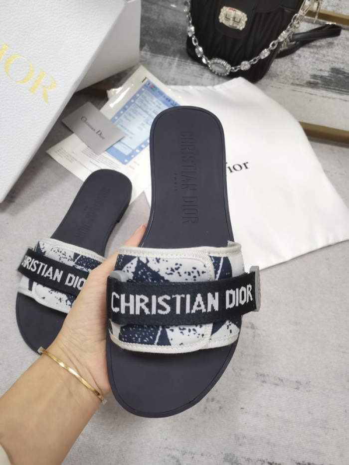 D10r slides ds-029