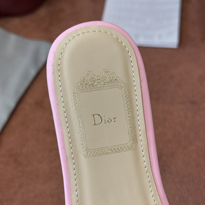 D10r SLIDES DS-0130