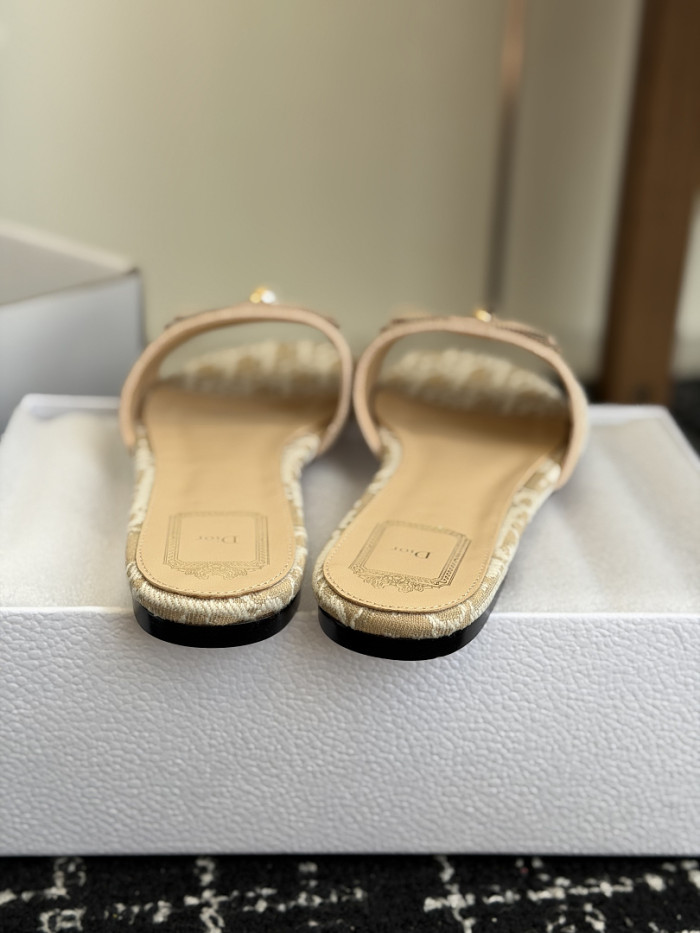 D10r SLIDES DS-0145
