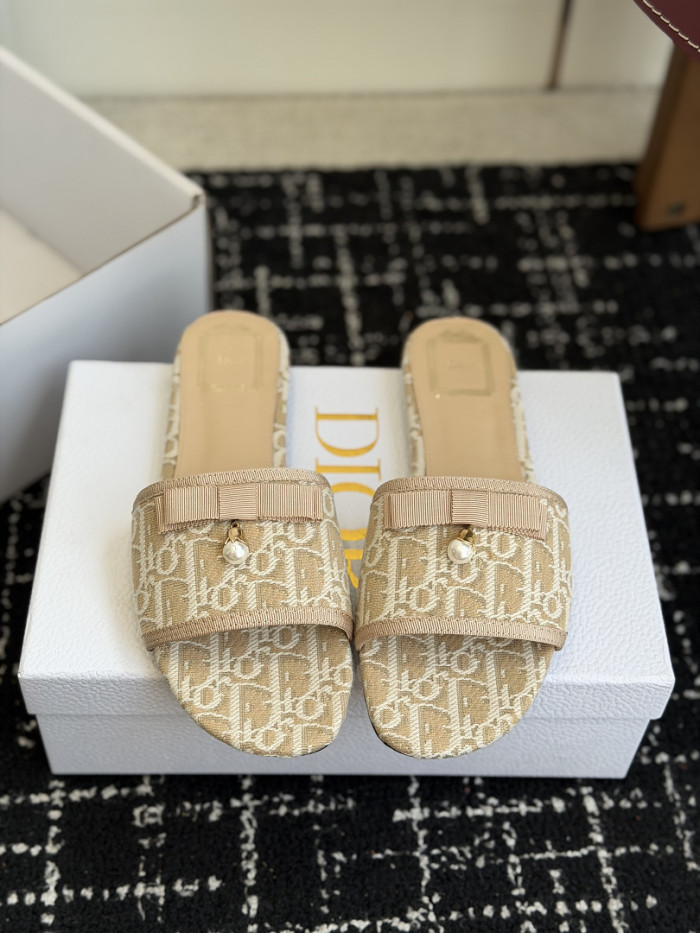 D10r SLIDES DS-0145