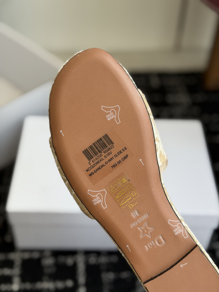 D10r SLIDES DS-0145