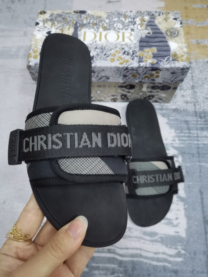 D10r slides ds-041