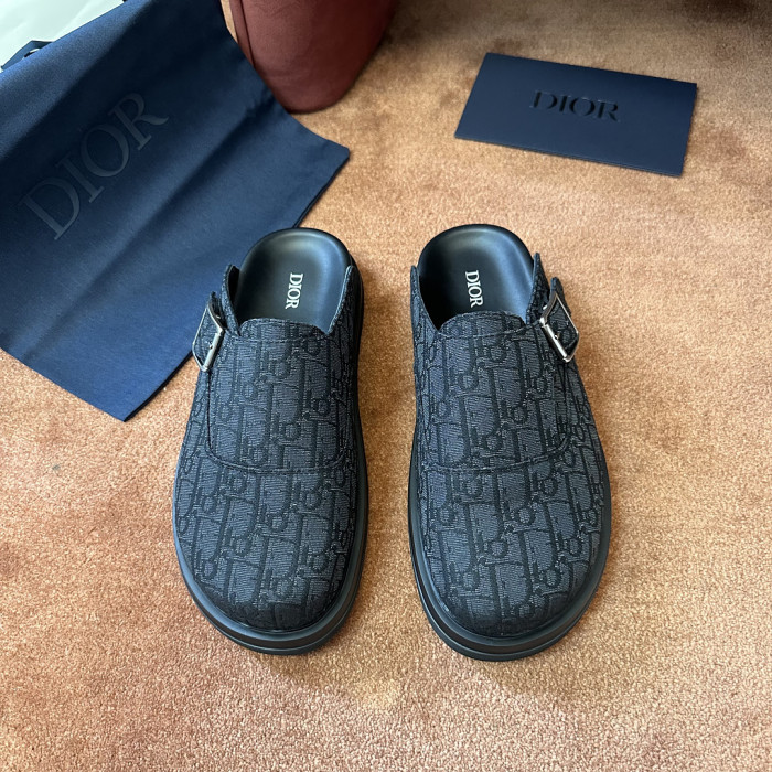 D10r SLIDES DS-0161