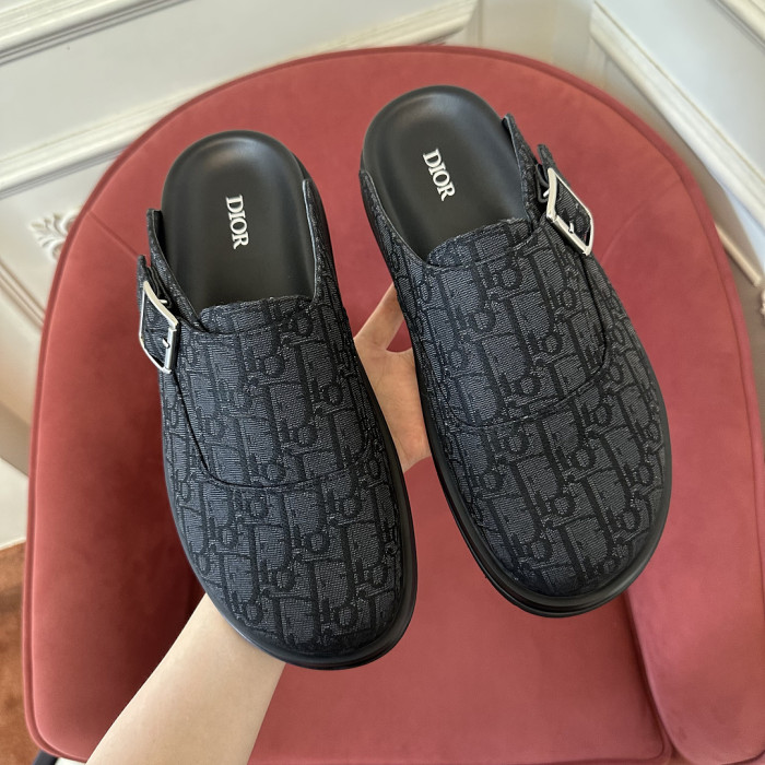 D10r SLIDES DS-0161