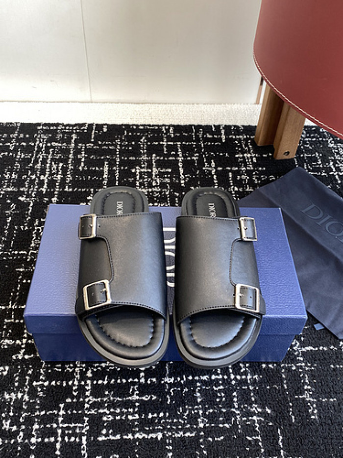 D10r slides ds-075