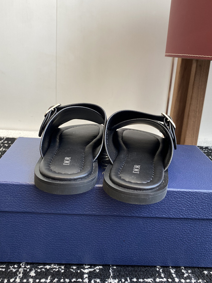 D10r slides ds-075