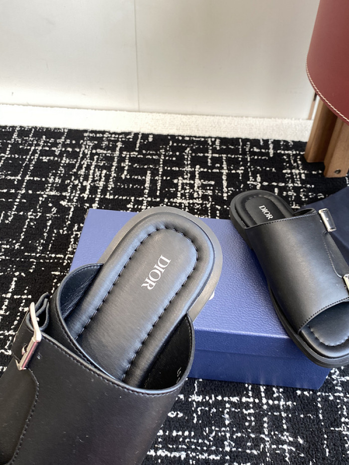 D10r slides ds-075