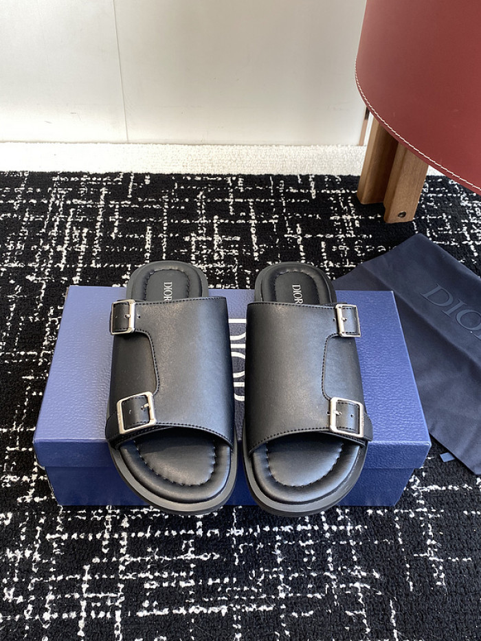 D10r slides ds-075