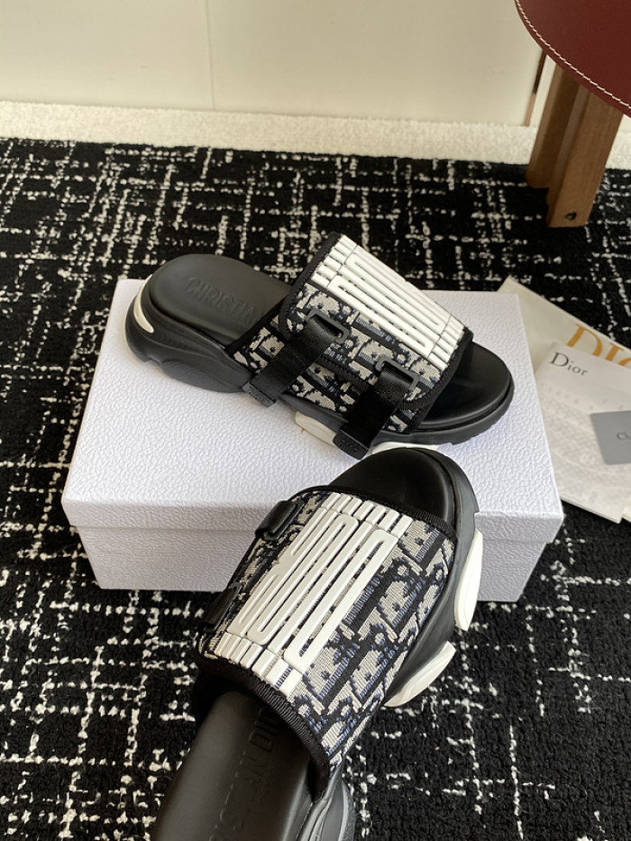 D10r slides ds-070
