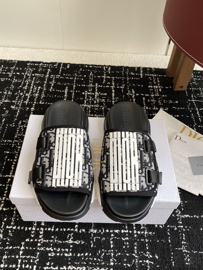 D10r slides ds-070