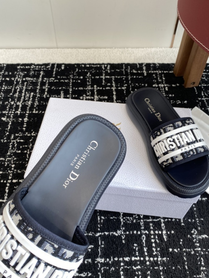 D10r slides ds-088