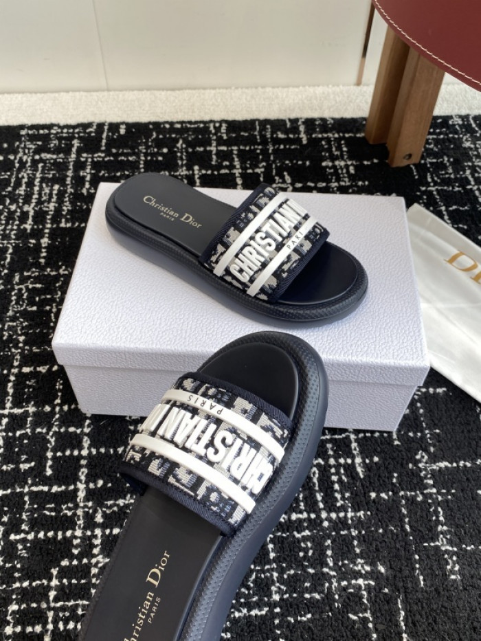 D10r slides ds-088