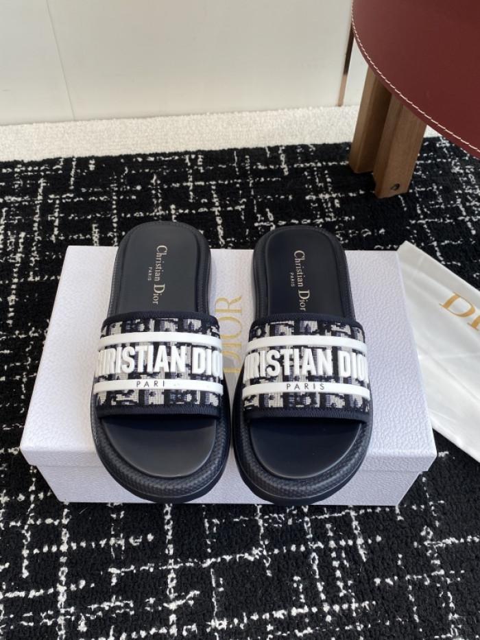 D10r slides ds-088