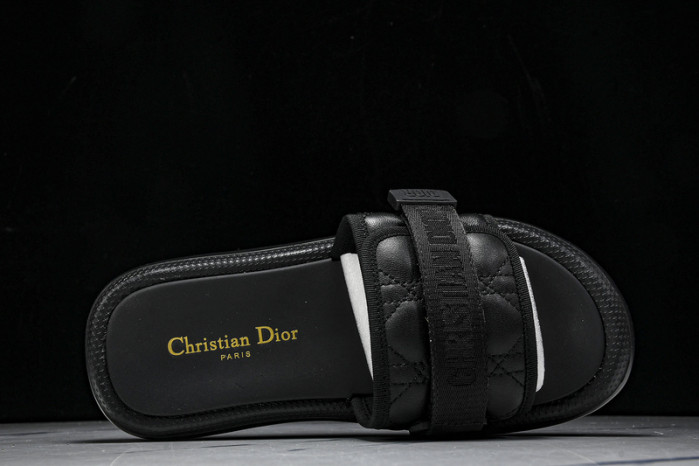 D10r slides ds-081
