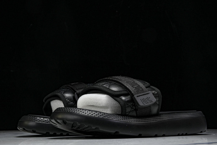 D10r slides ds-081