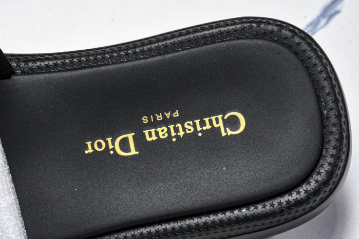 D10r slides ds-081