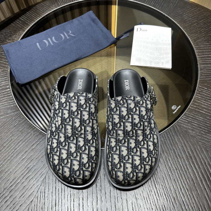 D10r slides ds-072