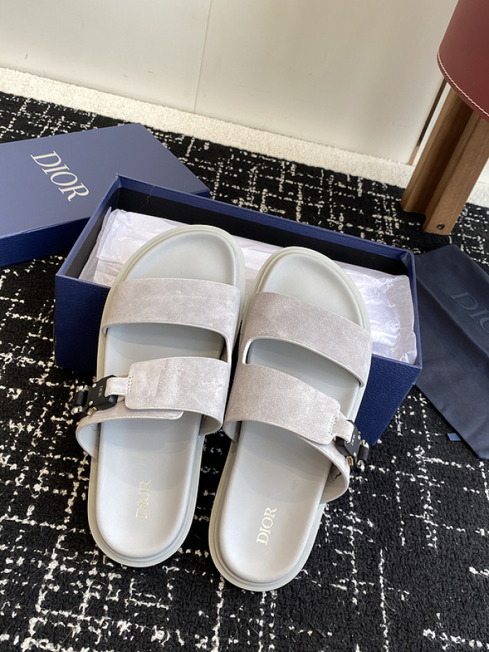 D10r slides ds-073