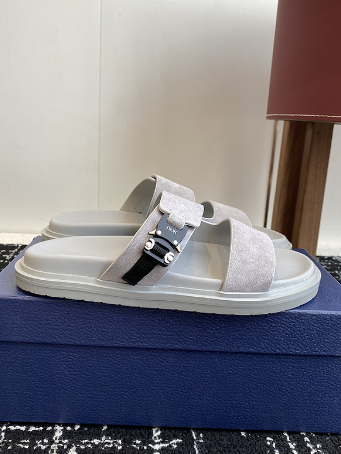 D10r slides ds-073