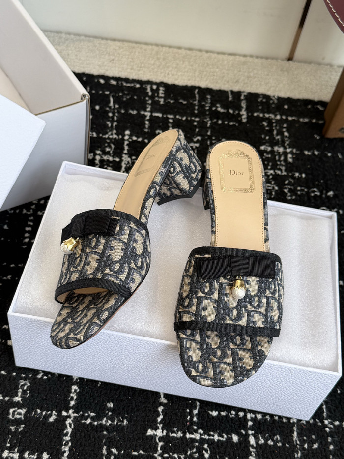 D10r SLIDES DS-0146
