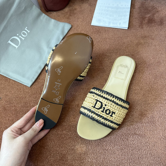 D10r SLIDES DS-0132