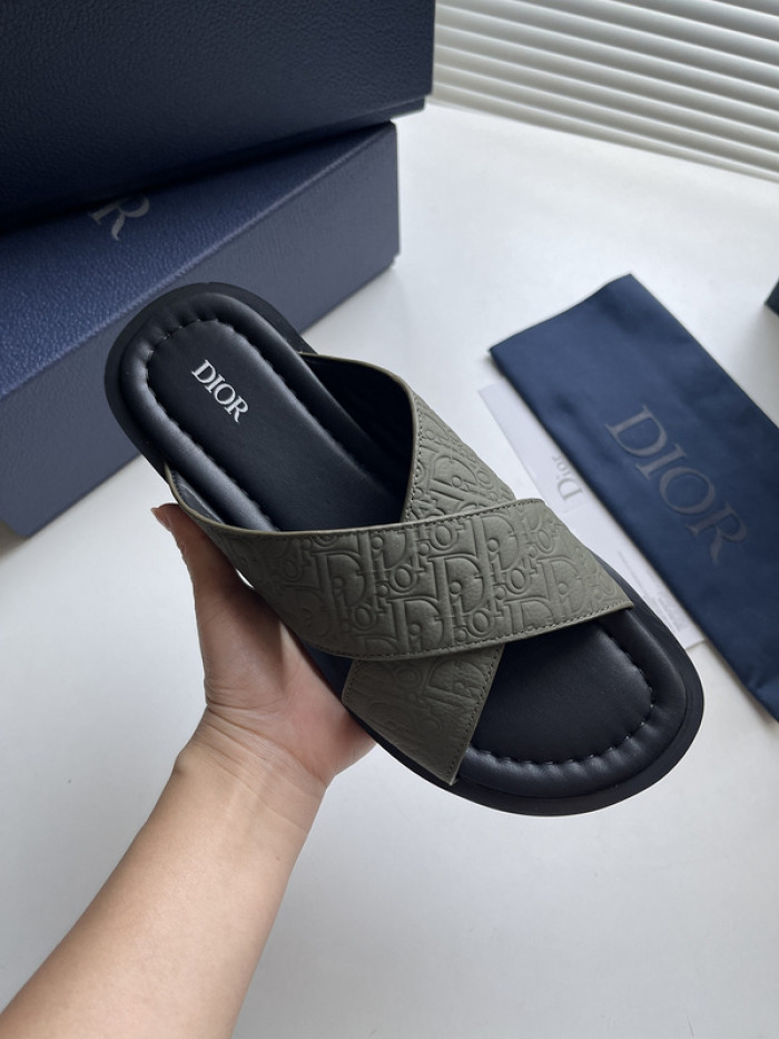D10r slides ds-050