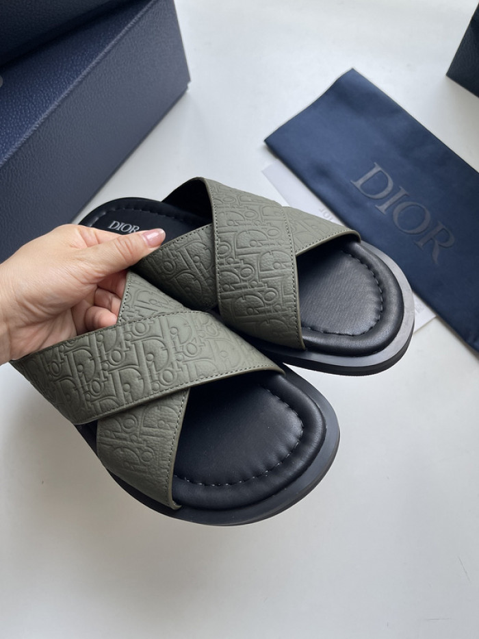 D10r slides ds-050