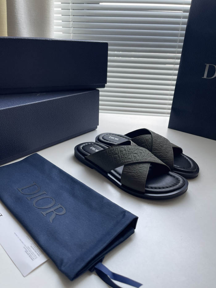 D10r slides ds-050