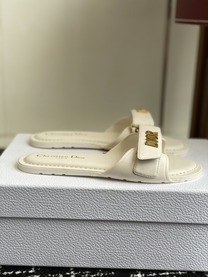 D10r slides ds-083