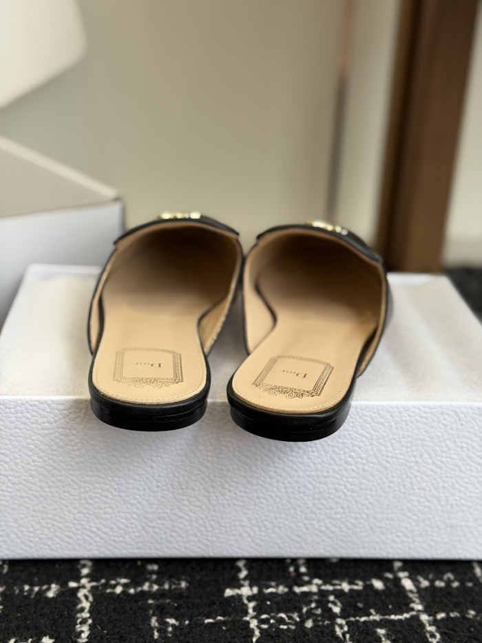 D10r SLIDES DS-0135
