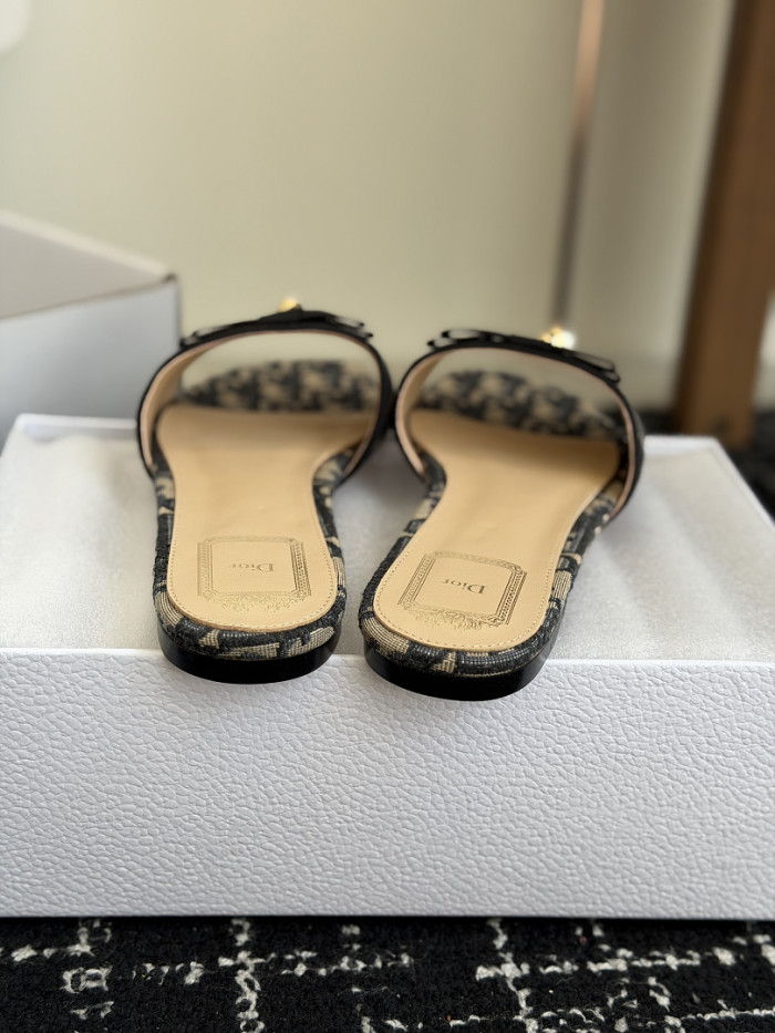 D10r SLIDES DS-0143