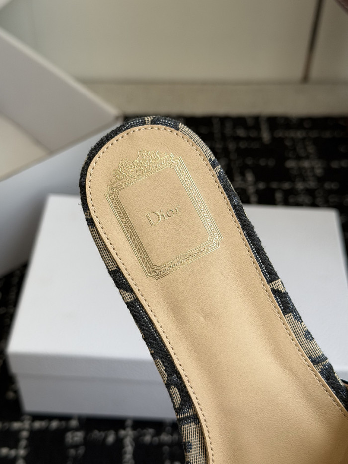 D10r SLIDES DS-0143