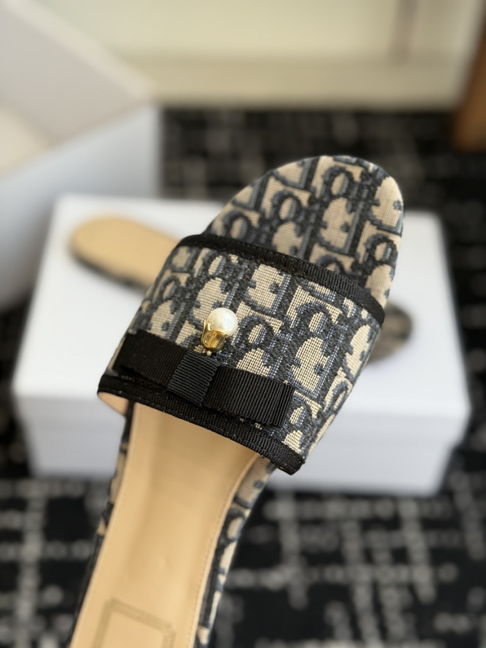D10r SLIDES DS-0143
