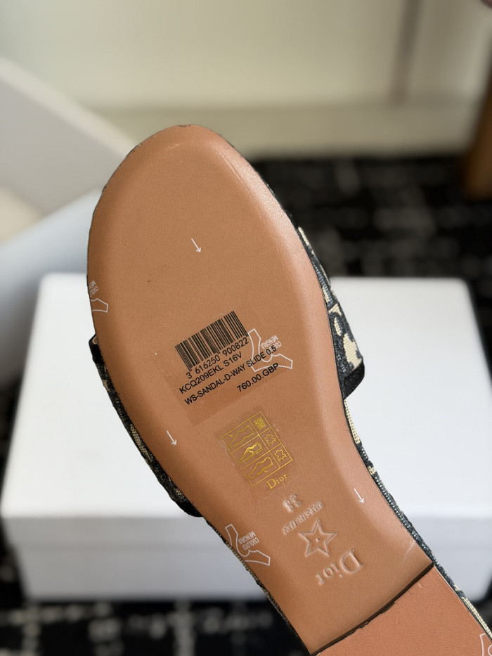 D10r SLIDES DS-0143