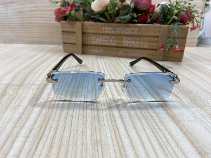 GLASSESS CT C-003