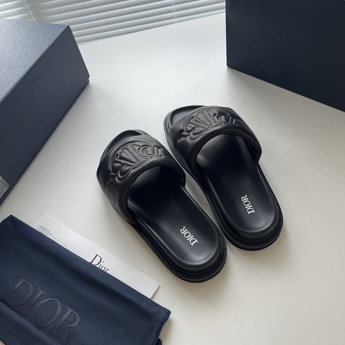 D10r slides ds-045