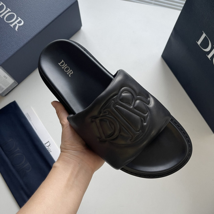 D10r slides ds-045