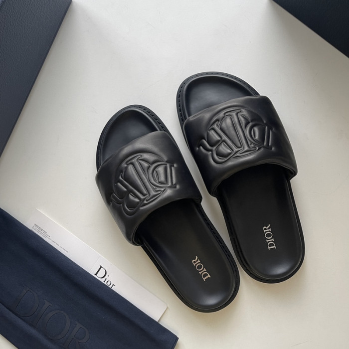 D10r slides ds-045