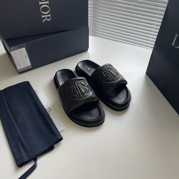 D10r slides ds-045