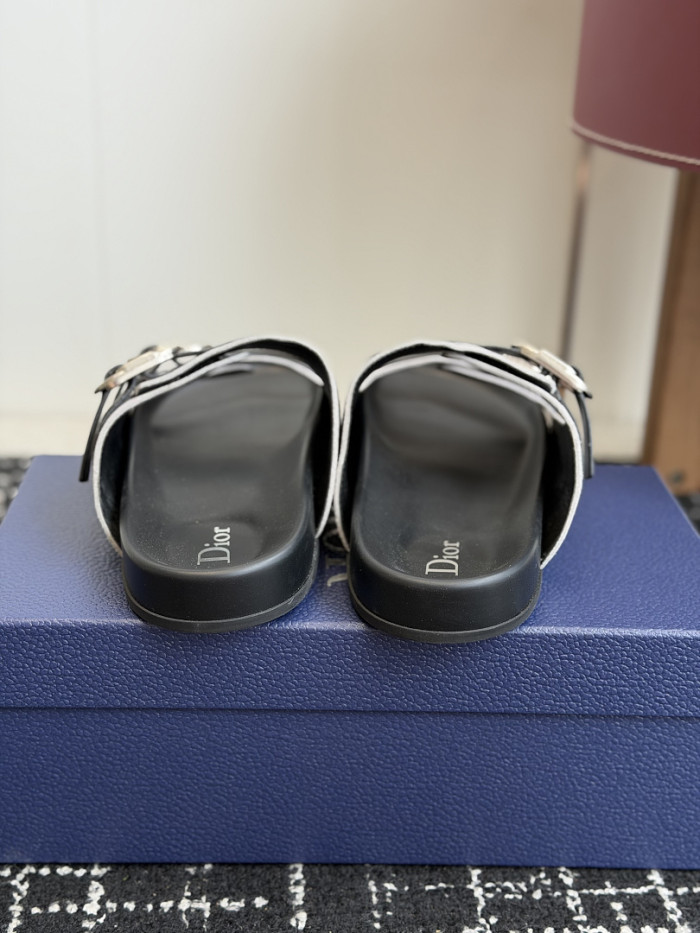 D10r SLIDES DS-0151