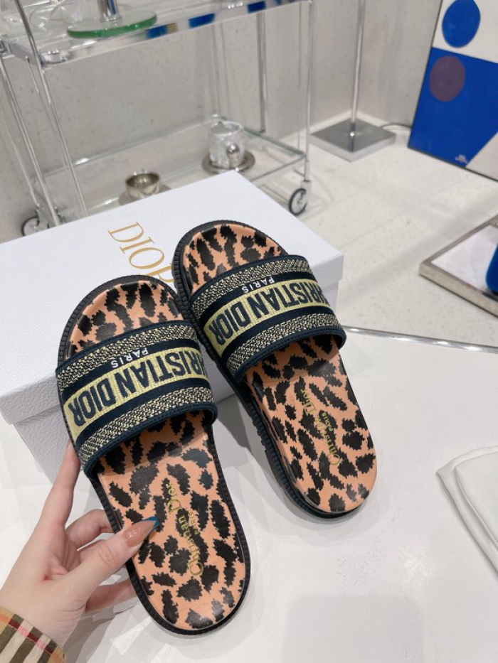 D10r slides ds-013