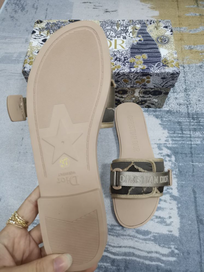 D10r slides ds-038