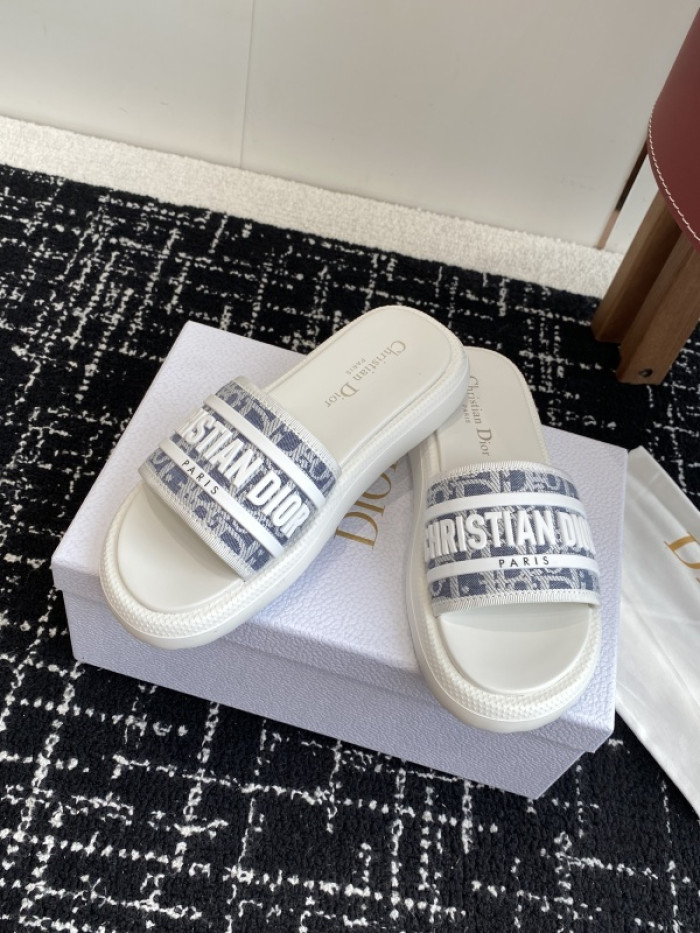 D10r slides ds-085