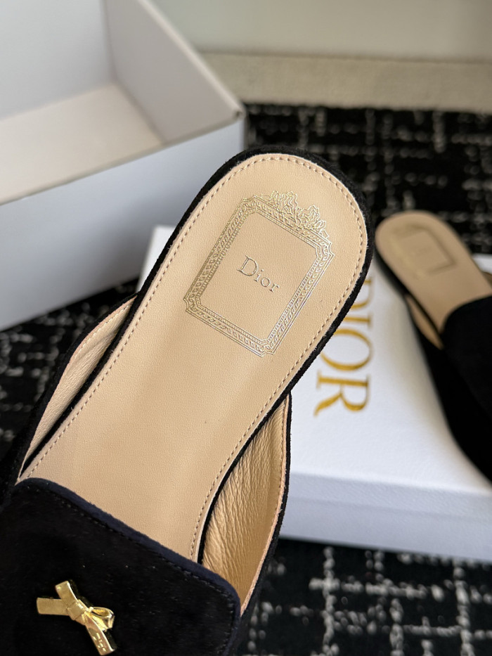 D10r SLIDES DS-0139