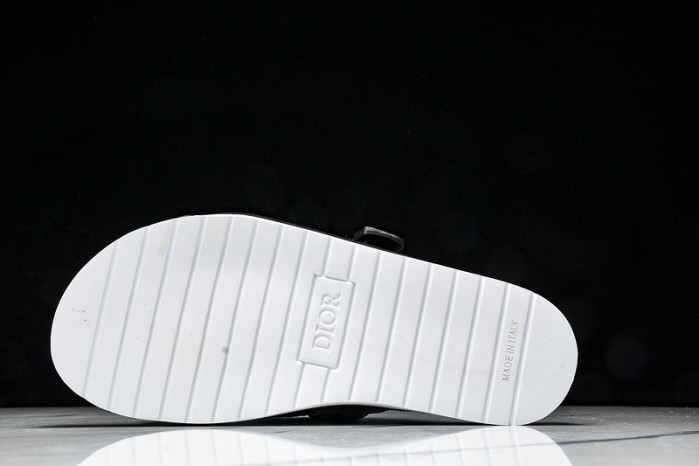D10r slides ds-063