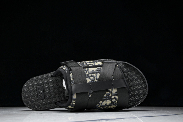 D10r slides ds-063